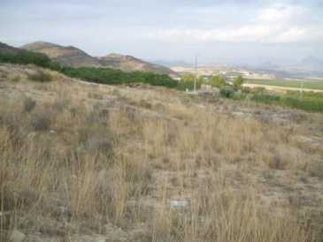 相片: 出售 土地 5,000 m2