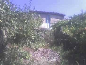 相片: 出售 农场 180 m2
