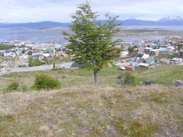 相片: 出售 土地 34,000 m2