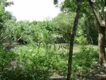 相片: 出售 土地 5,825 m2