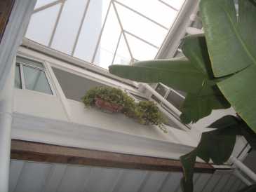 相片: 出售 大厦 800 m2