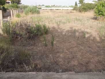 相片: 出售 土地 950 m2