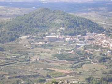 相片: 出售 土地 10,000 m2