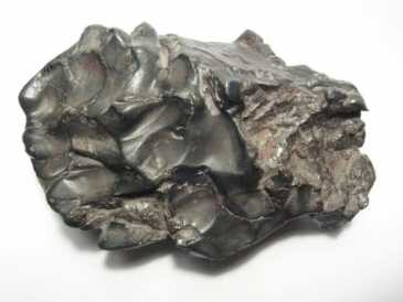 相片: 出售 壳、化石和石头 COQUILLAGES,FOSSILES,PIERRES