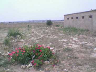 相片: 出售 土地 10,000 m2