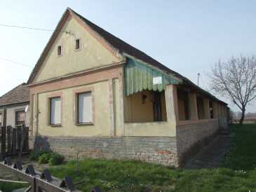 相片: 出售 小农场 290 m2
