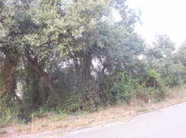 相片: 出售 土地 800 m2