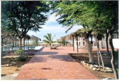 相片: 出售 土地 500,000 m2