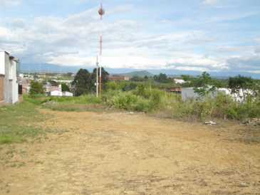 相片: 出售 土地 9,500 m2