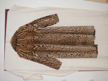 相片: 出售 衣物 妇女 - LEOPARDUS PARDALIS - LEOPARDUS PARDALIS