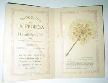 相片: 出售 其它对象 FLOR DE LA TUMBA DE LA VIRGEN MARIA EN TIERRA SANT