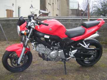 相片: 出售 摩托车 650 cc - SUZUKI - SV