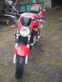 相片: 出售 摩托车 650 cc - SUZUKI - SV