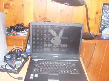 相片: 出售 办公计算机 TOSHIBA - SATELLITE