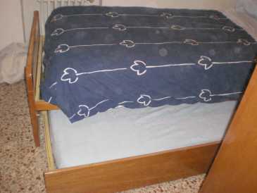 相片: 出售 电家用电器 FLEX - CAMA