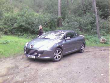 相片: 出售 汽车 PEUGEOT - 307