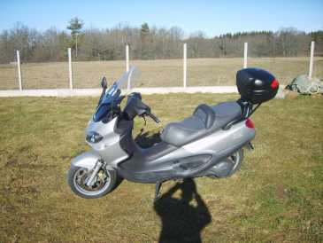 相片: 出售 滑行车 500 cc - PIAGGIO - PIAGGIO X9 500