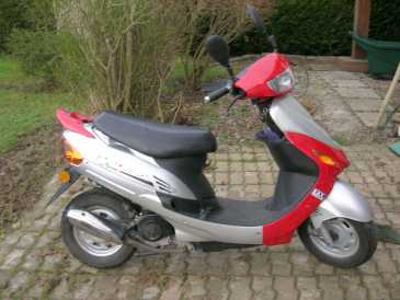 相片: 出售 滑行车 50 cc - YIYING - YIYING 50 QT