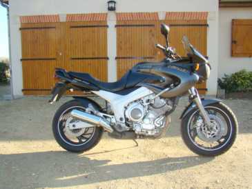 相片: 出售 摩托车 850 cc - YAMAHA - TDM