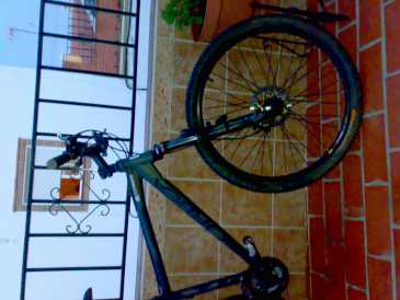 相片: 出售 自行车 ORBEA - SHAPYR