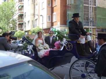 相片: 租 其他人 COCHE DE CABALLOS