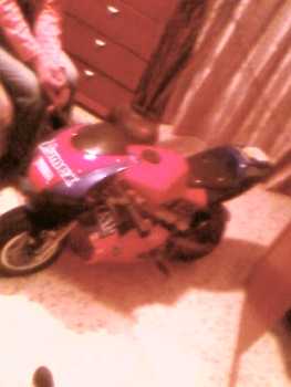 相片: 出售 其它对象 VENDO MOTO