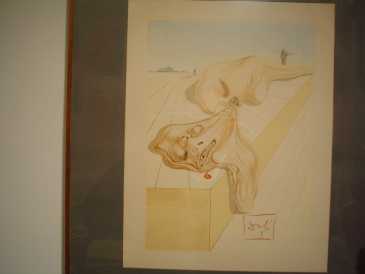相片: 出售 绘画和图画 SALVADOR DALI  CANTO 30 INFERNO