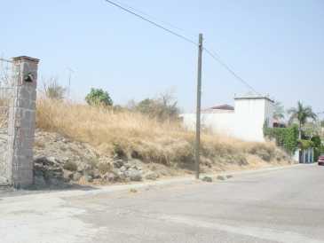 相片: 出售 土地 800 m2