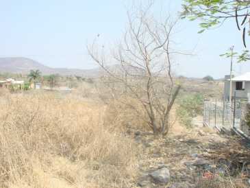 相片: 出售 土地 800 m2