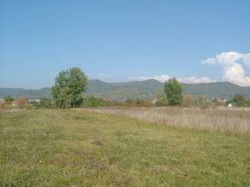 相片: 出售 土地 7,300 m2