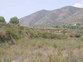 相片: 出售 土地 42,300 m2
