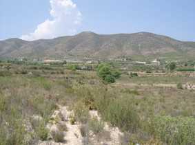 相片: 出售 土地 42,300 m2