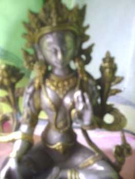 相片: 出售 其它对象 TARA BRONZE/ARGENT