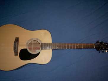 相片: 出售 吉他和其它弦乐器 TAKAMINE