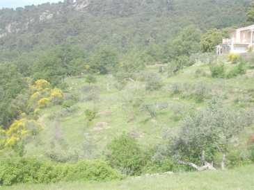相片: 出售 土地 2,001 m2
