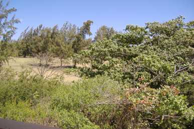 相片: 租 2 间卧室公寓 90 m2