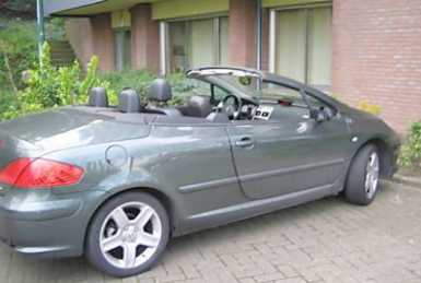 相片: 出售 汽车 PEUGEOT - 307