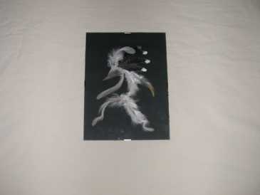 相片: 出售 绘画和图画 DANZATORE NAVAJO