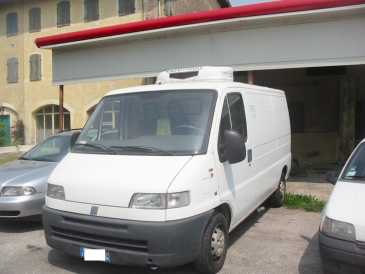 相片: 出售 卡车和公共事业 IVECO - DAILY - DUCATO - VW