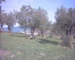 相片: 出售 土地 2,000 m2