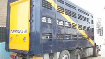 相片: 出售 汽车 SCANIA 143/450 - SCANIA 143/450