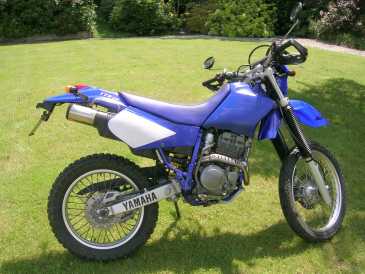相片: 出售 摩托车 250 cc - YAMAHA - TT R