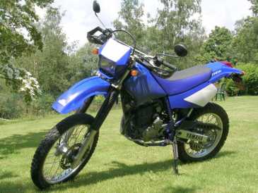 相片: 出售 摩托车 250 cc - YAMAHA - TT R