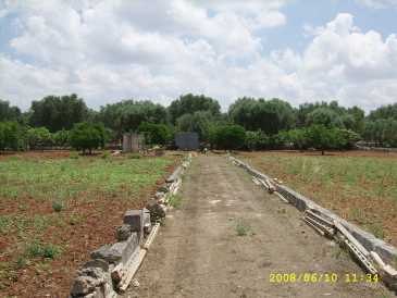 相片: 出售 土地 8,000 m2