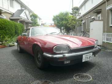相片: 出售 汽车 JAGUAR - XJS