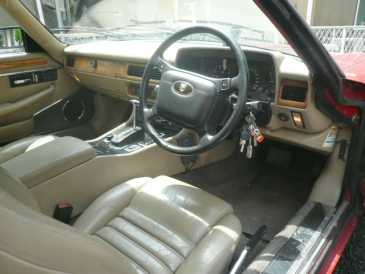 相片: 出售 汽车 JAGUAR - XJS