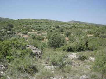 相片: 出售 土地 11,100 m2